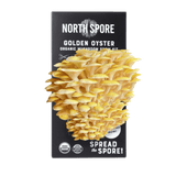 Image thumbnail: Spray & Grow Kit Organic Golden Oyster ‘Spray & Grow’ Mushroom Growing Kit