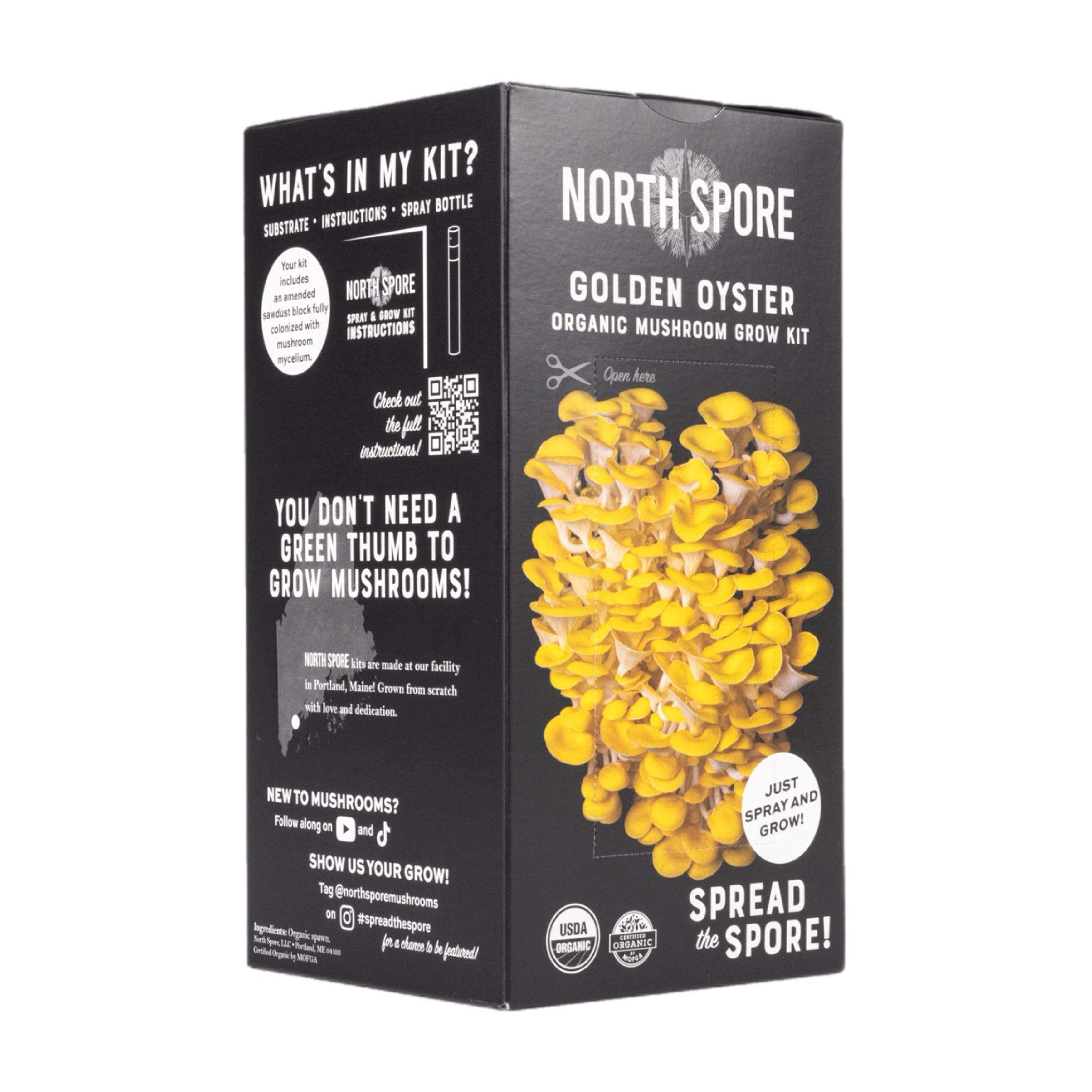 Organic Golden Oyster 'Spray & Grow' Mushroom Growing Kit – North