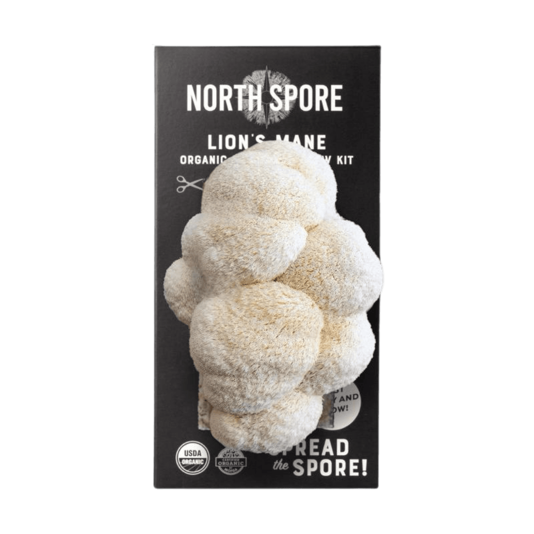 Spray & Grow Kit Organic Lion's Mane ‘Spray & Grow’ Mushroom Growing Kit