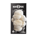 Image thumbnail: Spray & Grow Kit Organic Lion's Mane ‘Spray & Grow’ Mushroom Growing Kit
