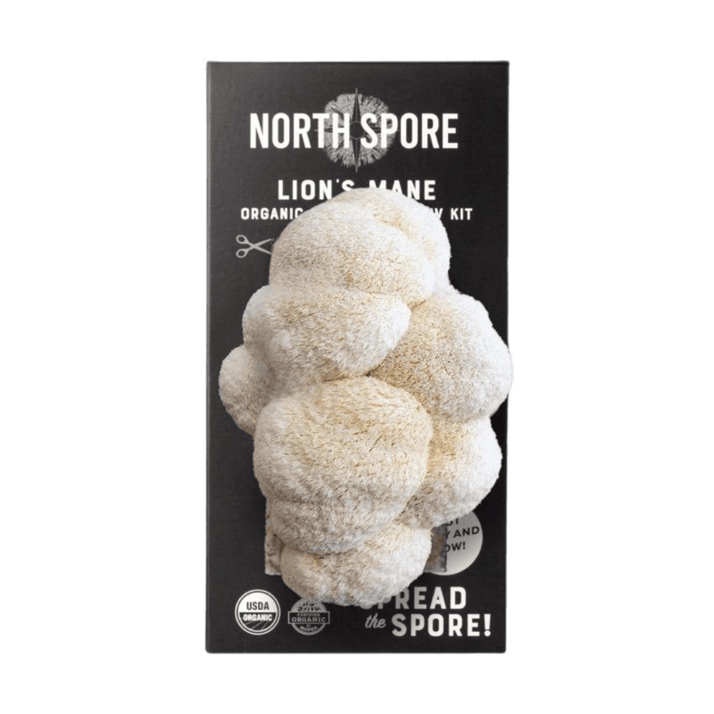 Spray & Grow Kit Organic Lion's Mane ‘Spray & Grow’ Mushroom Growing Kit