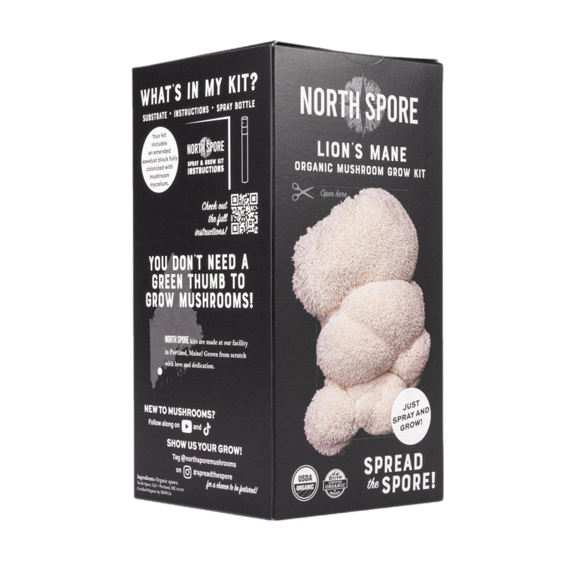 Spray & Grow Kit Organic Lion's Mane ‘Spray & Grow’ Mushroom Growing Kit