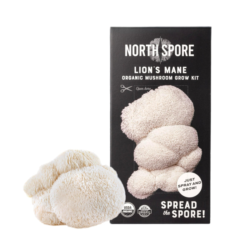 Spray & Grow Kit Organic Lion's Mane ‘Spray & Grow’ Mushroom Growing Kit