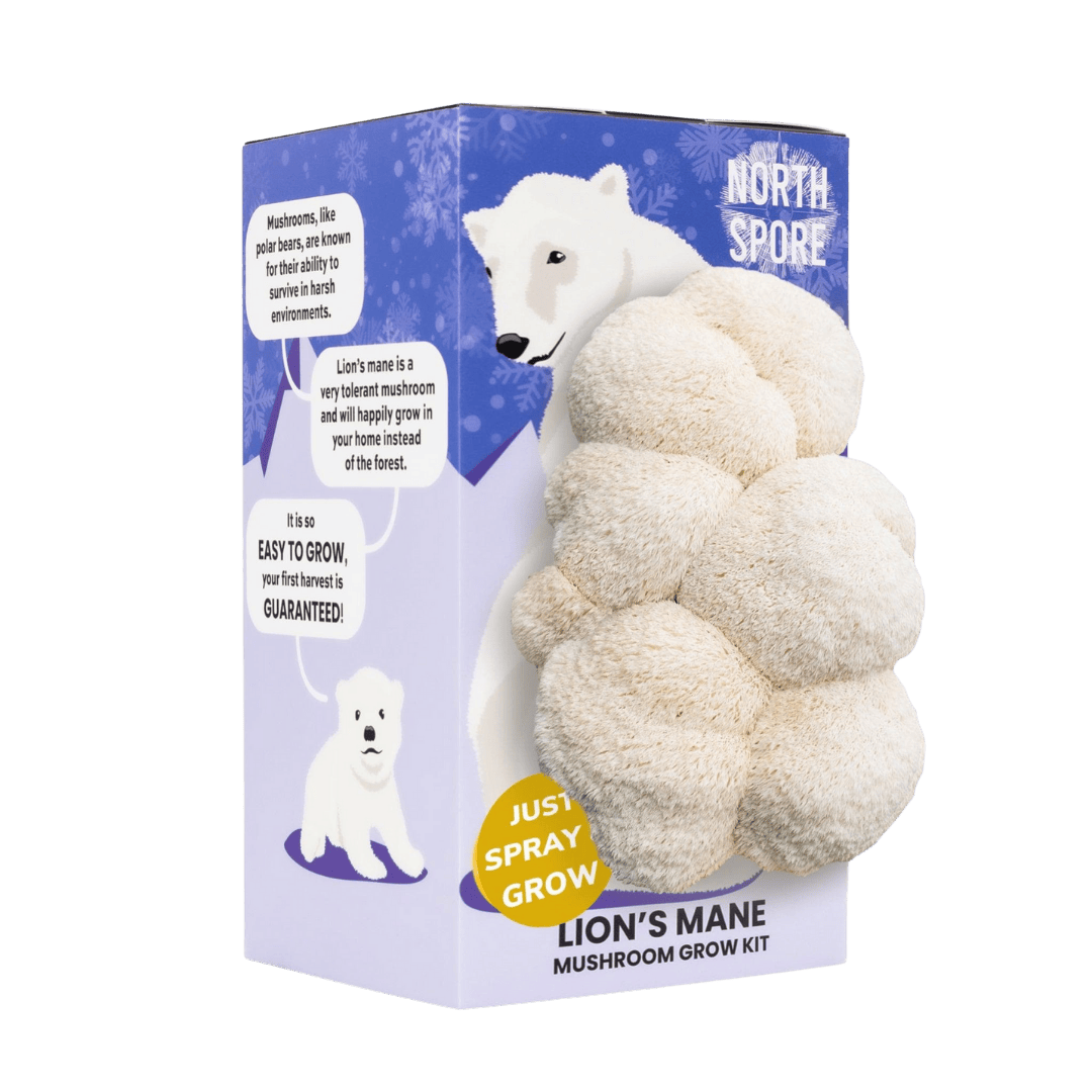 Spray & Grow Kit Organic Lion's Mane ‘Spray & Grow’ Polar Bear Mushroom Growing Kit