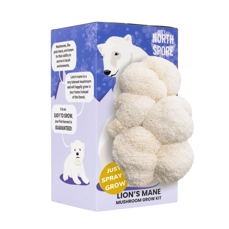 Spray & Grow Kit Organic Lion's Mane ‘Spray & Grow’ Polar Bear Mushroom Growing Kit