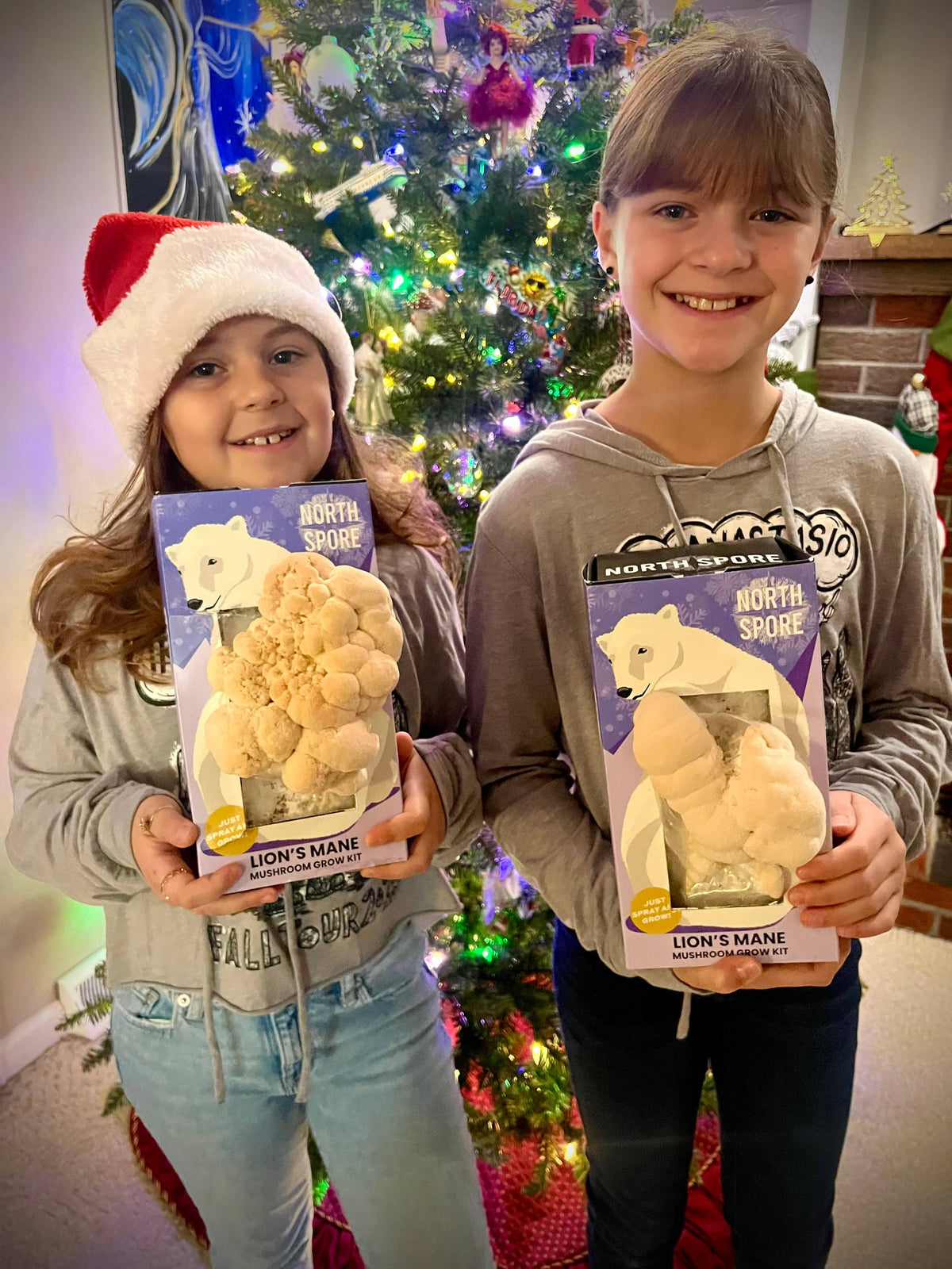 Spray & Grow Kit Organic Lion's Mane ‘Spray & Grow’ Polar Bear Mushroom Growing Kit