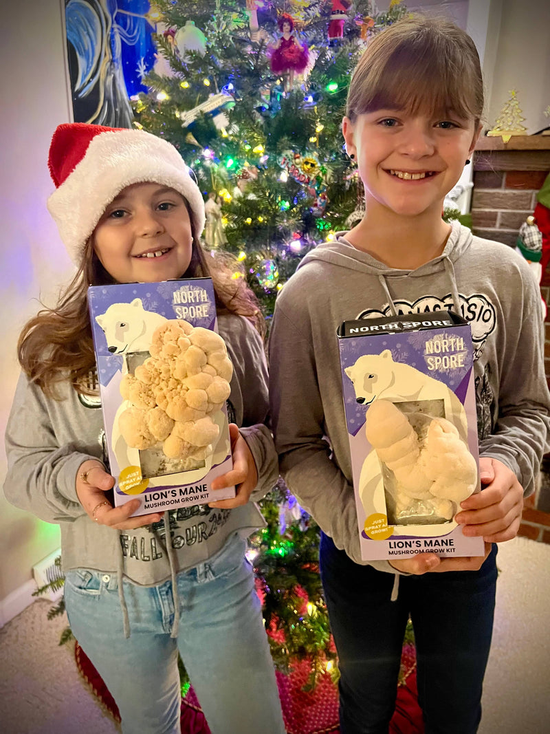 Spray & Grow Kit Organic Lion's Mane ‘Spray & Grow’ Polar Bear Mushroom Growing Kit