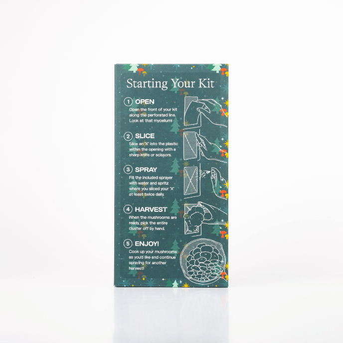 Spray & Grow Kit Organic Lion's Mane ‘Spray & Grow’ Santa Mushroom Growing Kit
