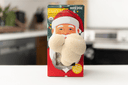 Lions Mane Santa