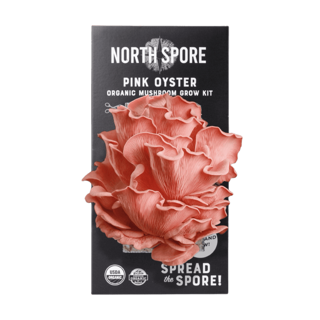 Spore To Fork s 6 Best Golden Oyster Mushroom Recipes North Spore spore-to-fork-s-6-best-golden-oyster-mushroom-recipes-north-spore