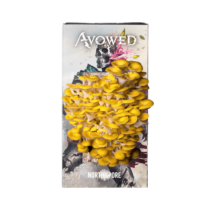 Spray & Grow Kit Organic ‘Spray & Grow’ AVOWED Mushroom Growing Kit