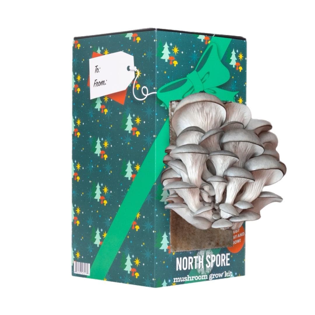 Organic 'Spray & Grow' Holiday Gift Wrap Mushroom Growing Kit