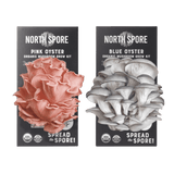 Image thumbnail: Spray & Grow Kit Spray & Grow Kit Subscription