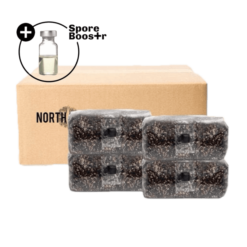 Sterile Substrate 4-pack 'ShroomTek' + Spore Boostr All-in-One Mushroom Grow Bag