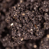 Image thumbnail: Sterile Substrate 8-Pack CVG (Coco Vermiculite Gypsum) Sterile Bulk Substrate