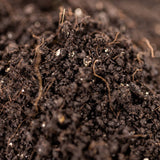 Image thumbnail: Sterile Substrate HB4 (Home Blend v4) Sterile Mushroom Substrate