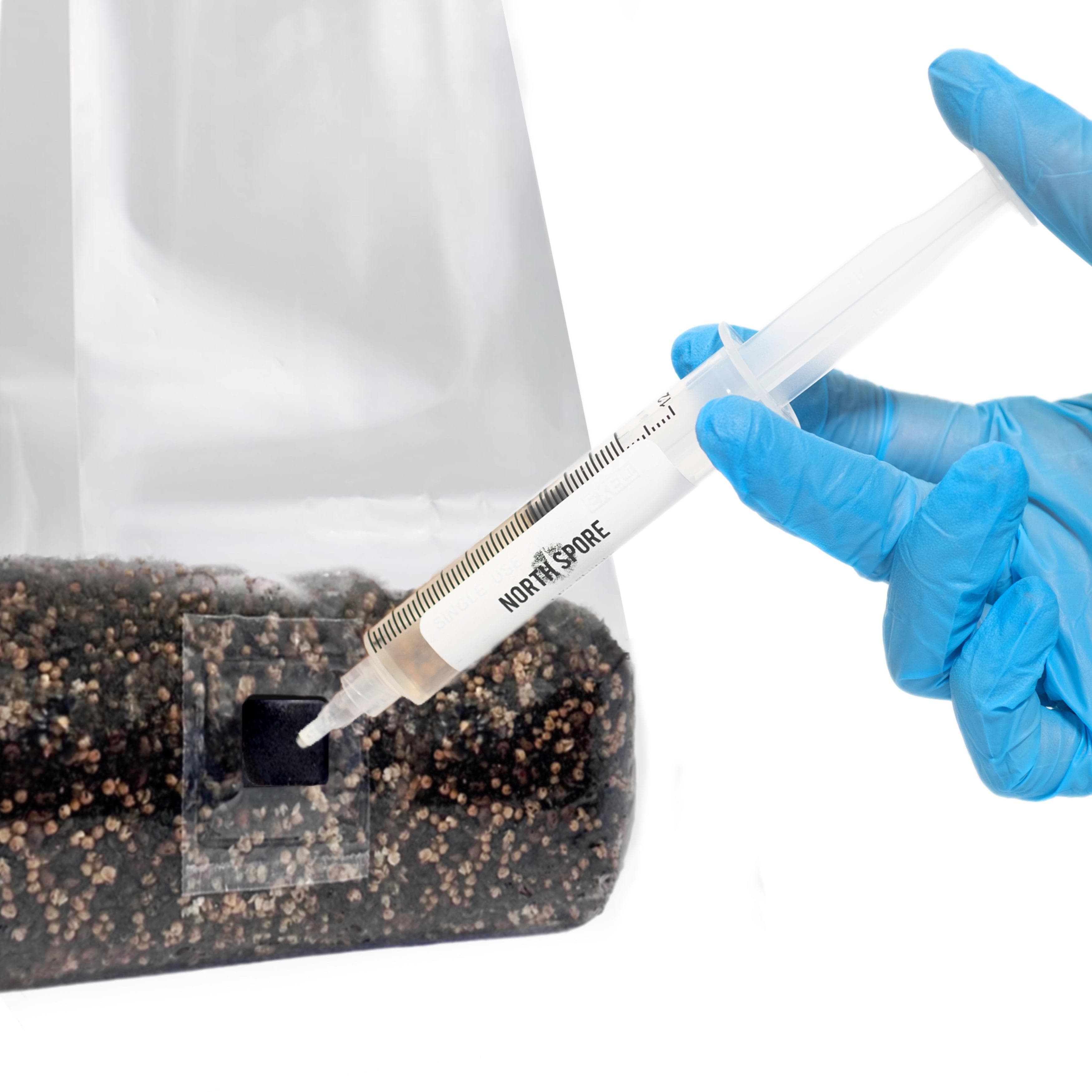 omg × nano mix spore grown ShroomTek' | Best All-In-One Grow Bag for Mushroom Cultivation