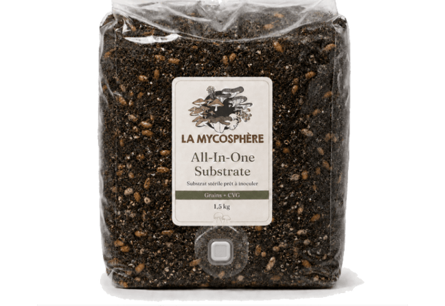 MycoBag All-in-One 1,5 kg – sac prêt à inoculer grain + CVG