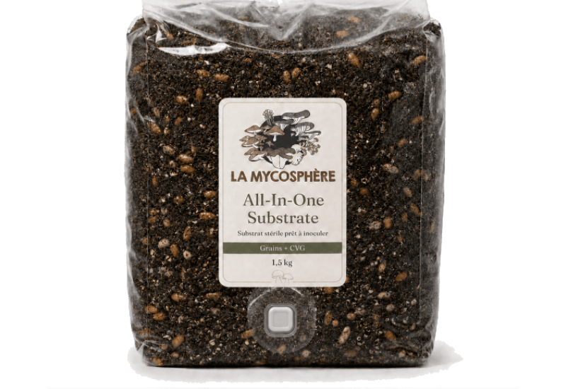 Substrat de culture MycoBag All-in-One 1,5 kg – sac prêt à inoculer grain + CVG