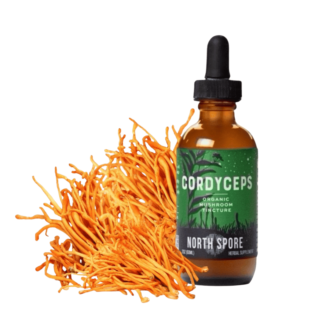 Vitamins & Supplements Organic Cordyceps Mushroom Tincture