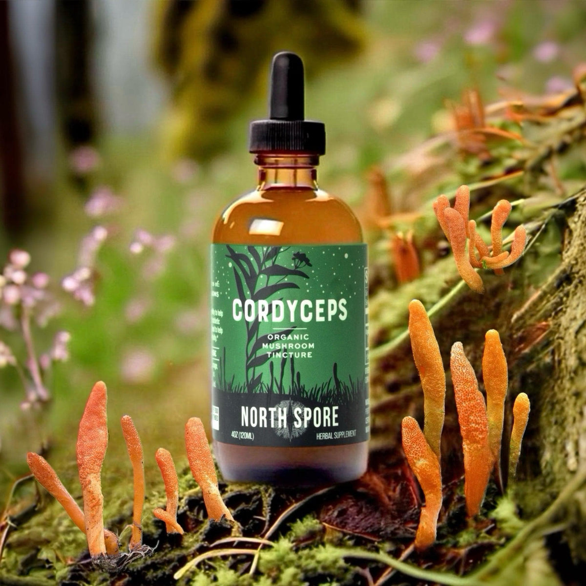 Vitamins & Supplements Organic Cordyceps Mushroom Tincture