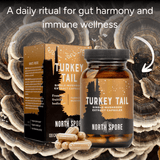 Image thumbnail: Wellness Supplements Gut Health Bundle