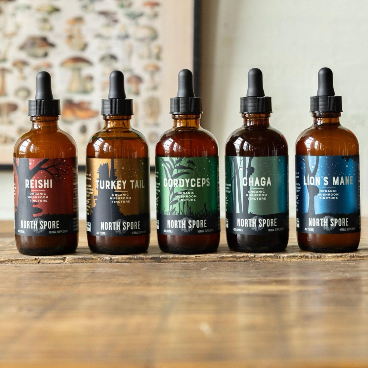 The North Spore Mind & Body Mushroom Tincture Variety Pack (Small) is displayed on a wooden surface, showcasing immune support benefits.