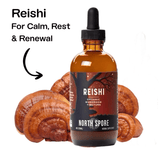 Image thumbnail: Wellness Supplements Mind & Body Mushroom Tincture Variety Pack (Large)