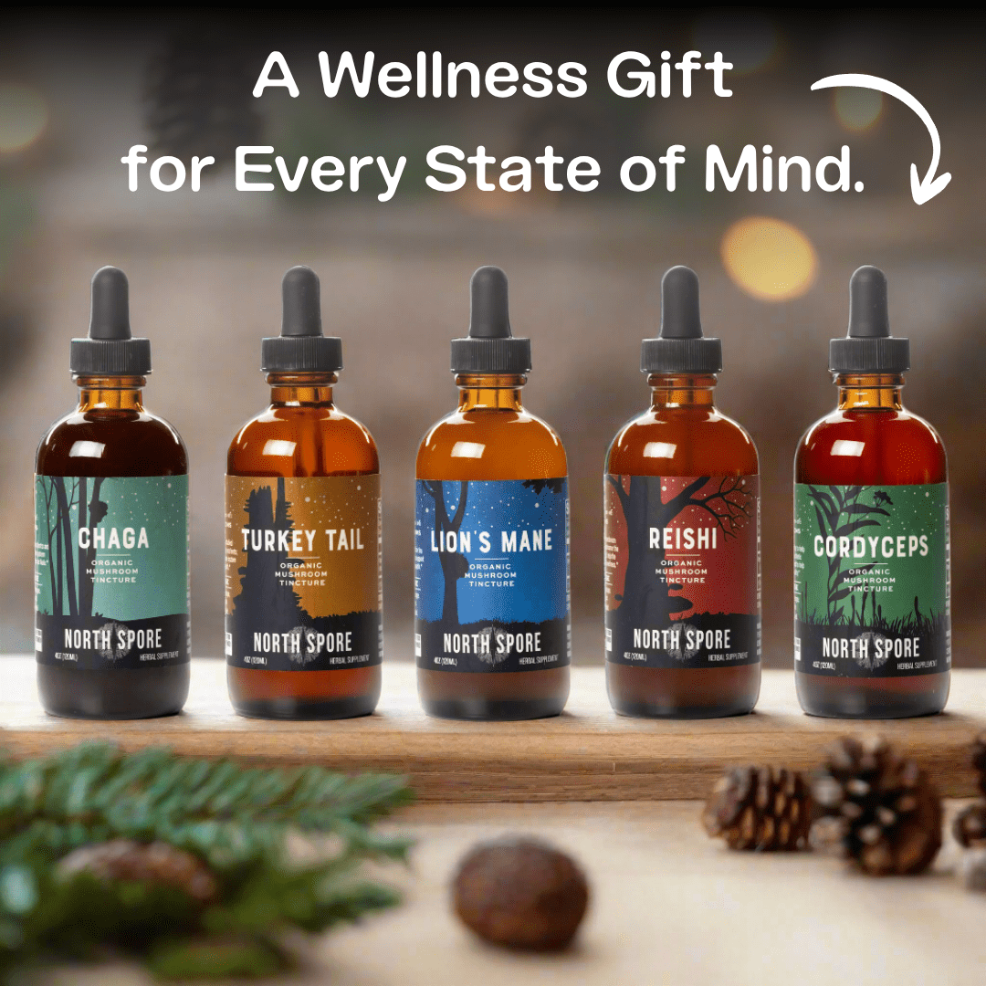 Wellness Supplements Mind & Body Mushroom Tincture Variety Pack (Large)