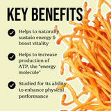 Image thumbnail: Wellness Supplements Mind & Body Mushroom Tincture Variety Pack (Small)