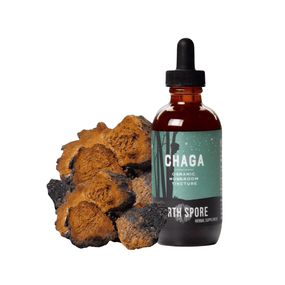 Wellness Supplements Organic Chaga Mushroom Tincture