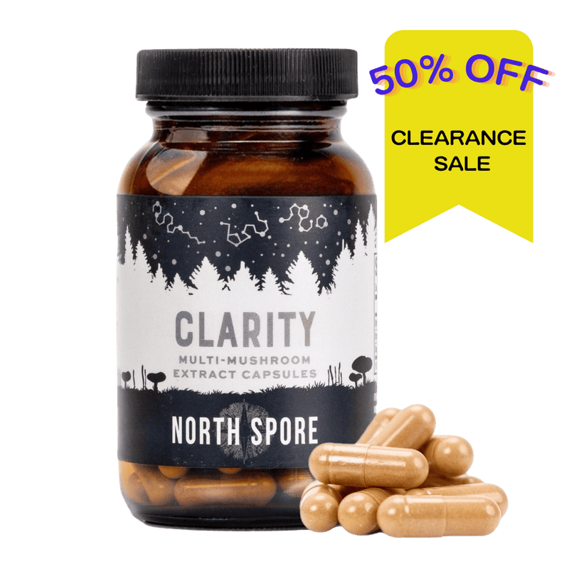 Wellness Supplements Organic ‘Clarity’ Mushroom Capsules (120 ct)
