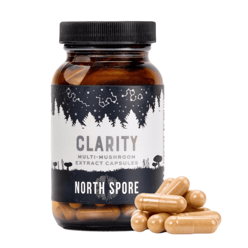 Wellness Supplements Organic ‘Clarity’ Mushroom Capsules