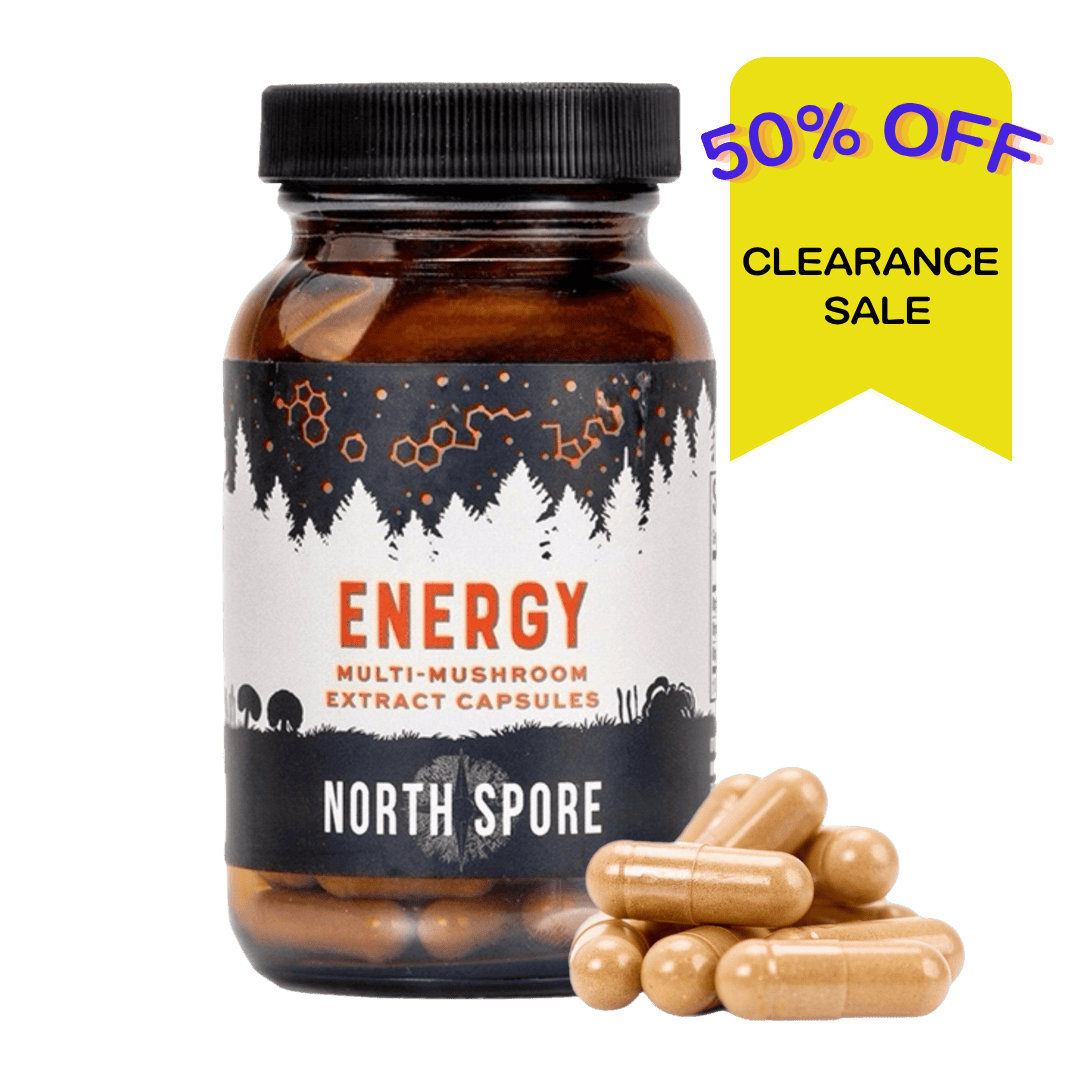 Wellness Supplements Organic ‘Energy’ Mushroom Capsules (120 ct)