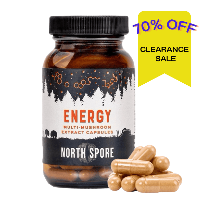 Wellness Supplements Organic ‘Energy’ Mushroom Capsules (120 ct)
