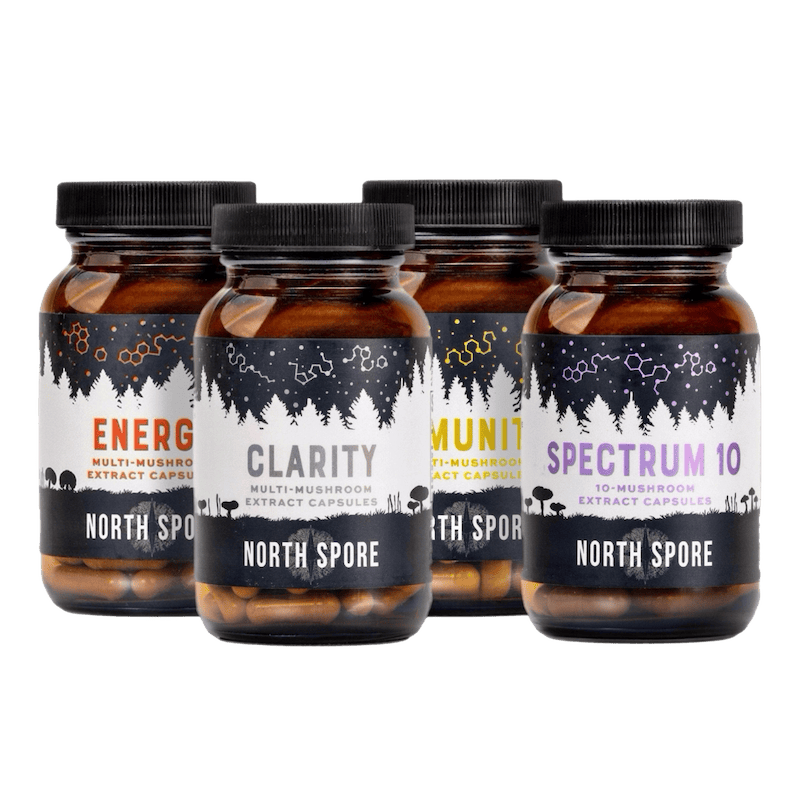 Wellness Supplements Organic High Potency Mushroom Capsule Bundle