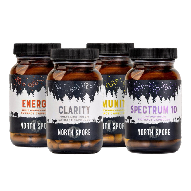 Wellness Supplements Organic High Potency Mushroom Capsule Bundle