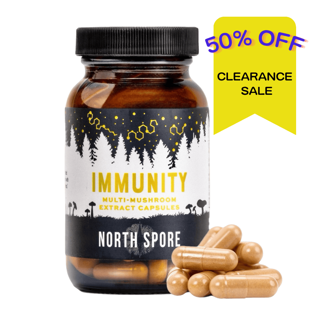 Wellness Supplements Organic ‘Immunity’ Mushroom Capsules (120 ct)