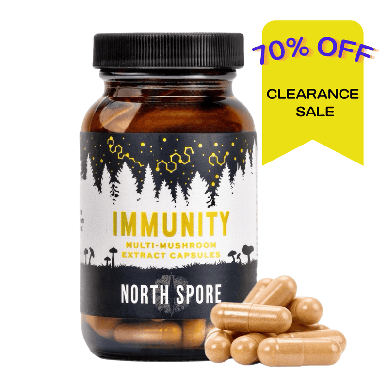 Wellness Supplements Organic ‘Immunity’ Mushroom Capsules (120 ct)
