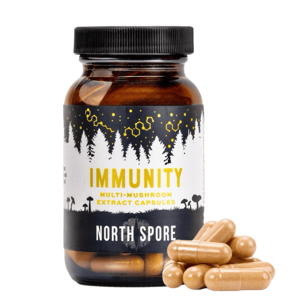 Wellness Supplements Organic ‘Immunity’ Mushroom Capsules