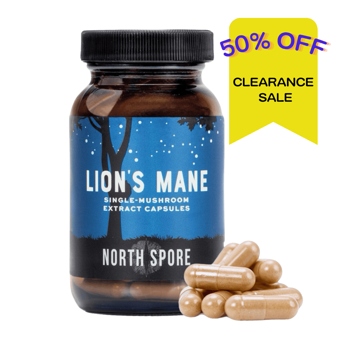 Wellness Supplements Organic Lion's Mane Mushroom Capsules (120 ct)