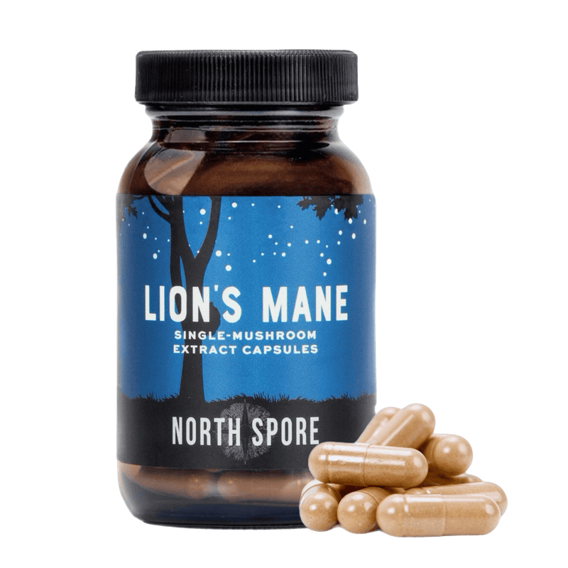 Wellness Supplements Organic Lion's Mane Mushroom Capsules
