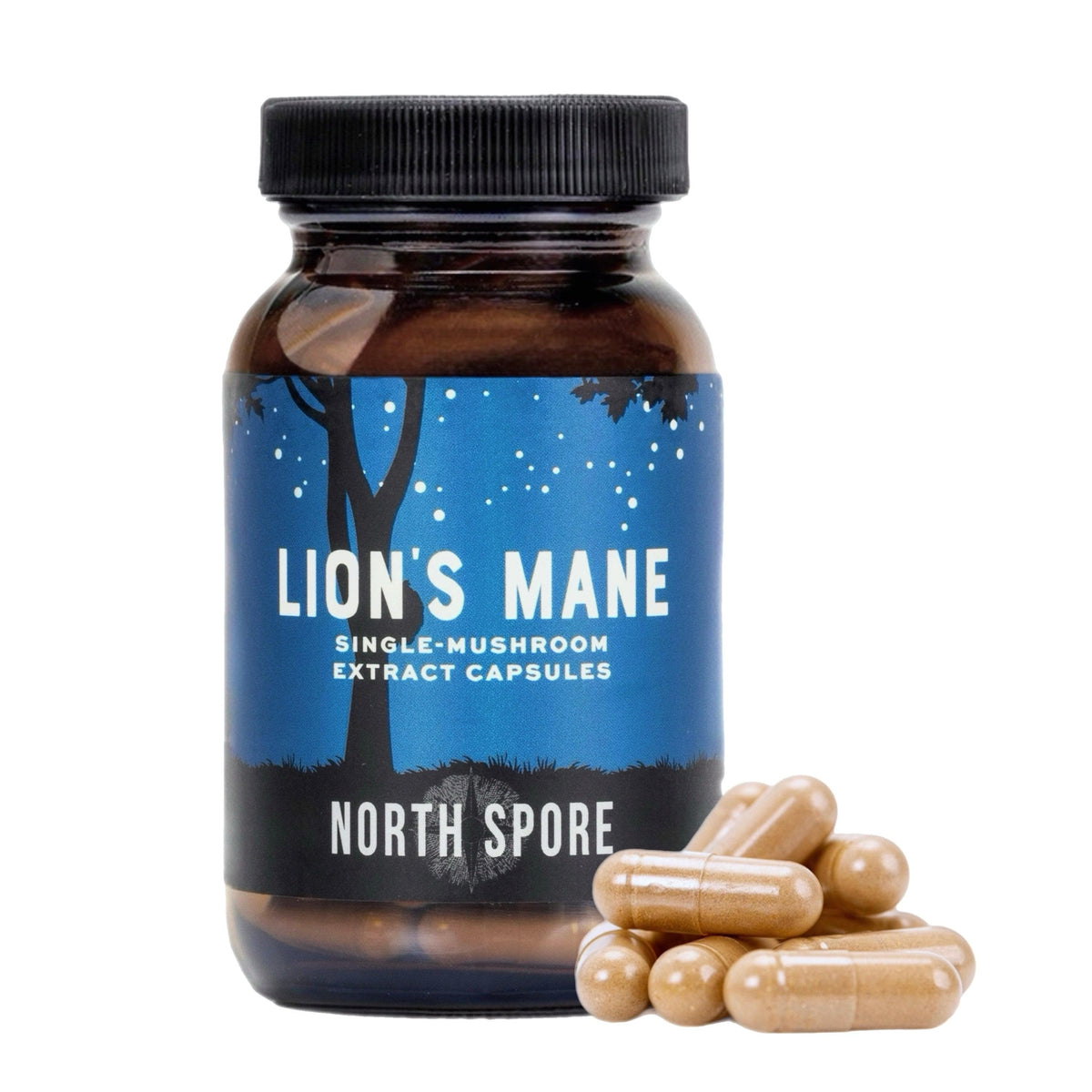 Wellness Supplements Organic Lion's Mane Mushroom Capsules
