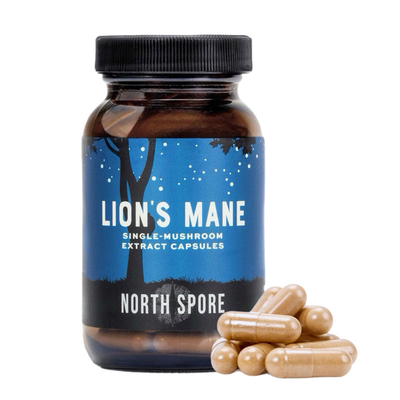 Wellness Supplements Organic Lion's Mane Mushroom Capsules