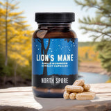 Image thumbnail: Wellness Supplements Organic Lion's Mane Mushroom Capsules