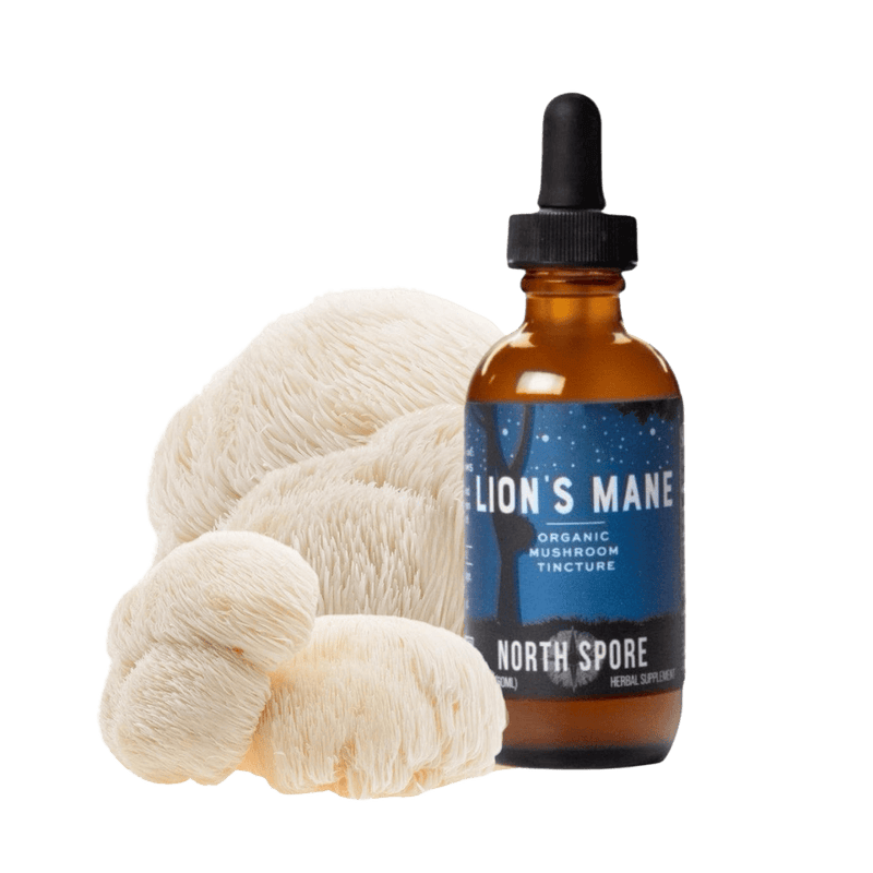 Wellness Supplements Organic Lion's Mane Mushroom Tincture