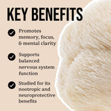 Image thumbnail: Wellness Supplements Organic Lion's Mane Mushroom Tincture