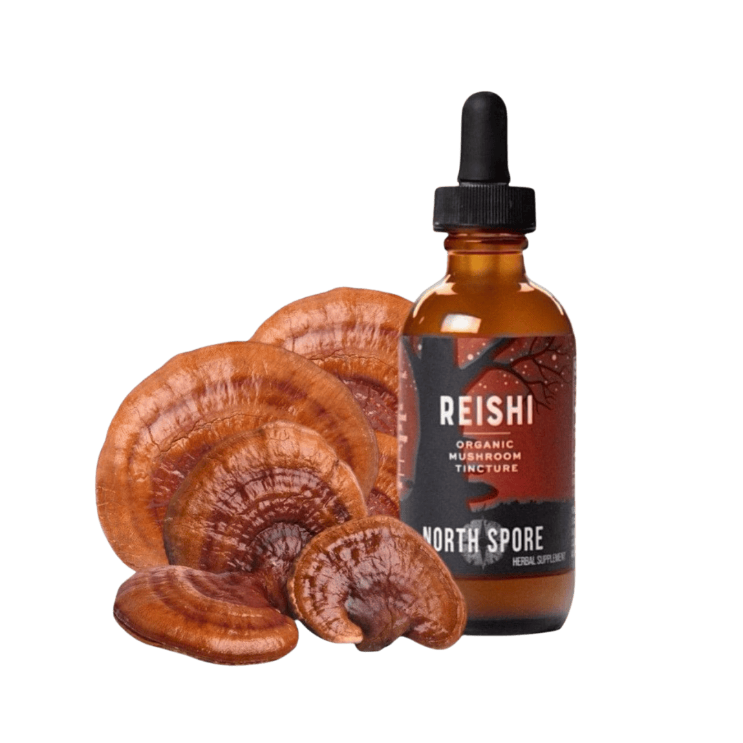 Wellness Supplements Organic Reishi Mushroom Tincture