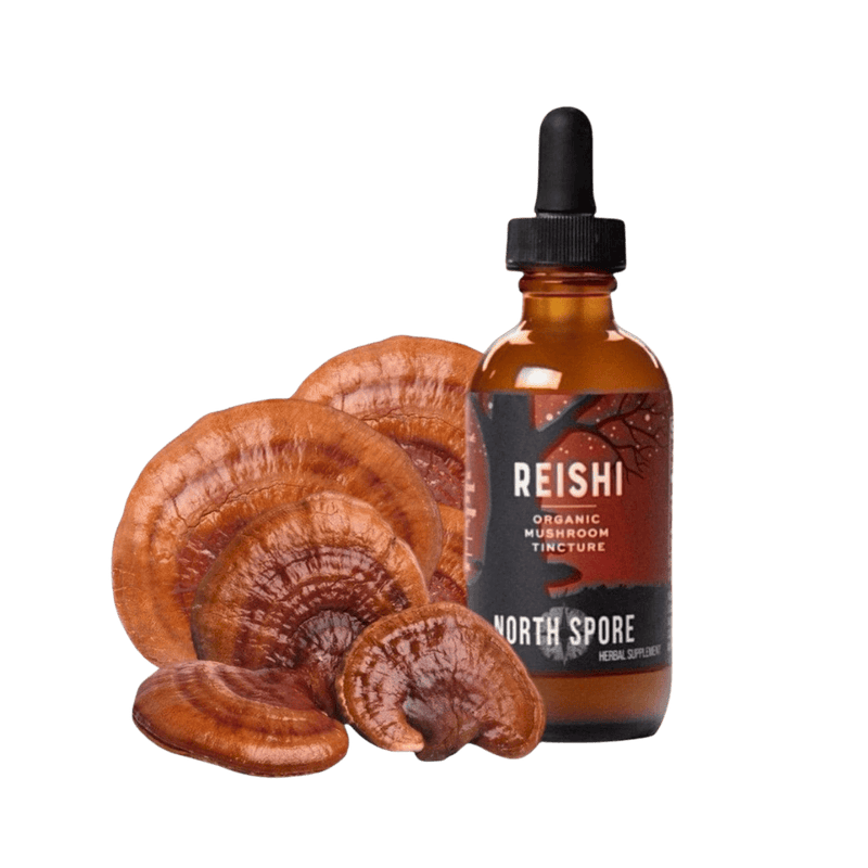 Wellness Supplements Organic Reishi Mushroom Tincture