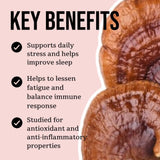 Image thumbnail: Wellness Supplements Organic Reishi Mushroom Tincture